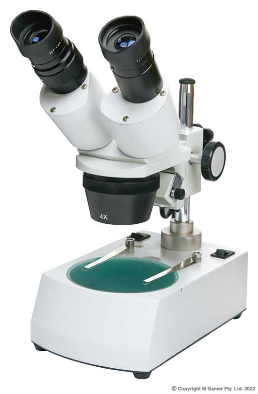 40x Stereo Microscope